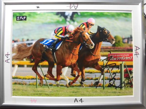 岩田康誠騎手直筆サインパネル ジェンティルドンナ ジャパンC