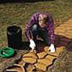 【SALE，安い】通販など 大 パスメイト鉄平石型 型枠(ガーデニング)｜売買されたオークション情報、yahooの商品情報をアーカイブ公開 - オークファン その他