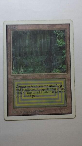 【即決】bayou UN mtg 英語　アンリミテッド