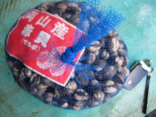 (2)国内産「サルボ（赤貝）大5Kg」-活きたままお届けします!!_2