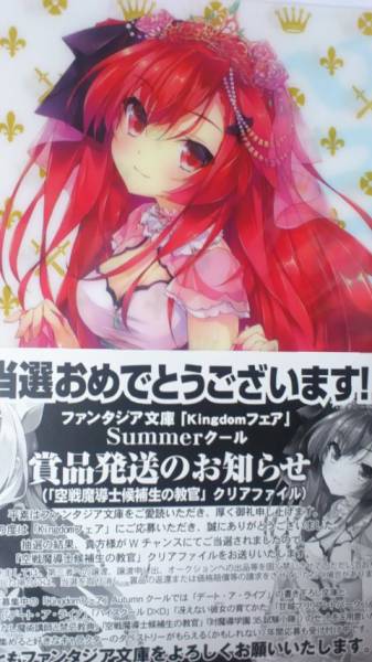 抽プレ 空戦魔導士候補生の教官 クリアファイル 甘味みきひろ_1