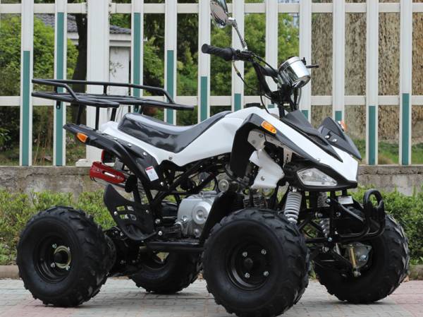 ♪♪☆本州送料無料☆ ICEBEAR 50ｃｃ 四輪バギー２♪♪