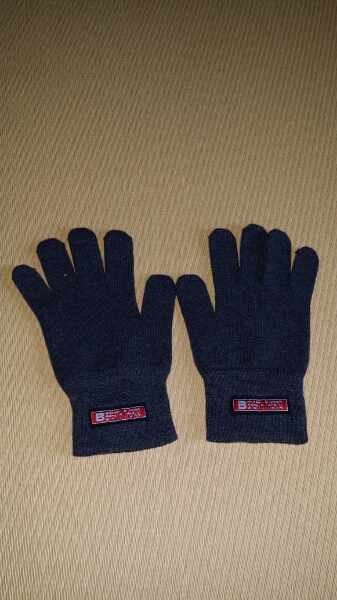 ★ダイス/DICE　ゴーグル　ケース付き★_3