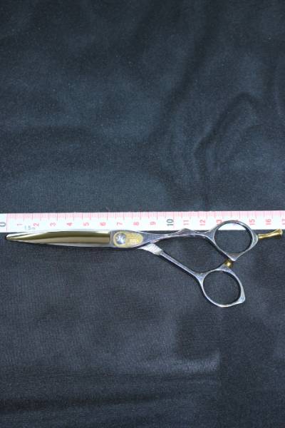 トギノン シザー ハイスキル スウィング 5.8DX 美容 理容 ハサミ