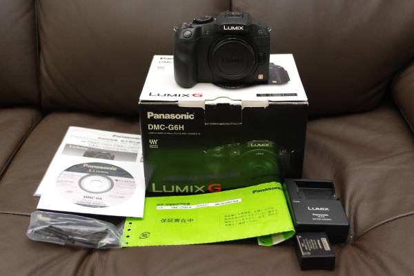 DMC-G6 LUMIX Panasonic Lumix 完動品 おまけ3点 肉眼でほぼ無傷 極上