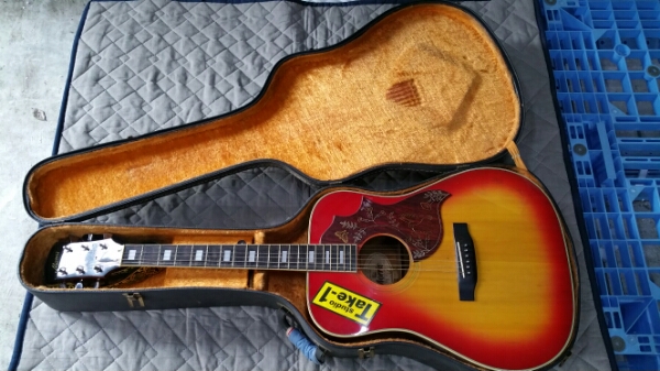 Morris WH-30 モーリス Yahoo!オークション アコ ハミングバード風