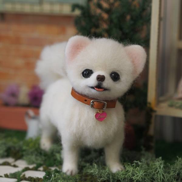 羊毛フェルト 犬 ポメラニアン サマーカット ホワイト 羊毛フェルト