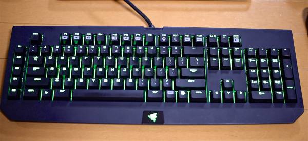 動作品！ Razer Blackwidow ULTIMATE 2013 英語配列
