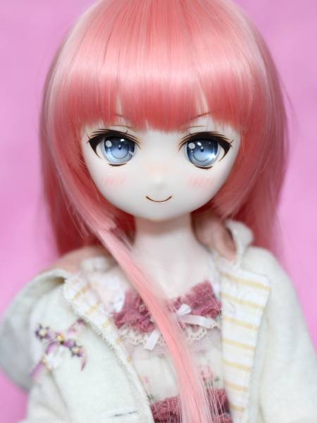 ☆しましまぐろ☆ DDH-01 SW肌 カスタムヘッド ※やや難有り