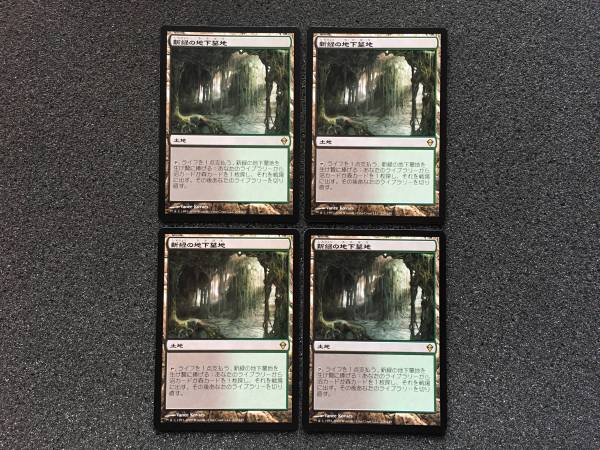MTG 新緑の地下墓地 日本語 4枚セット に興味をもっていただき 【公式