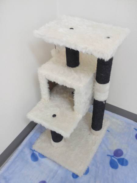 キャットタワープチヴィバーチェ（訳あり商品につきお買い得）