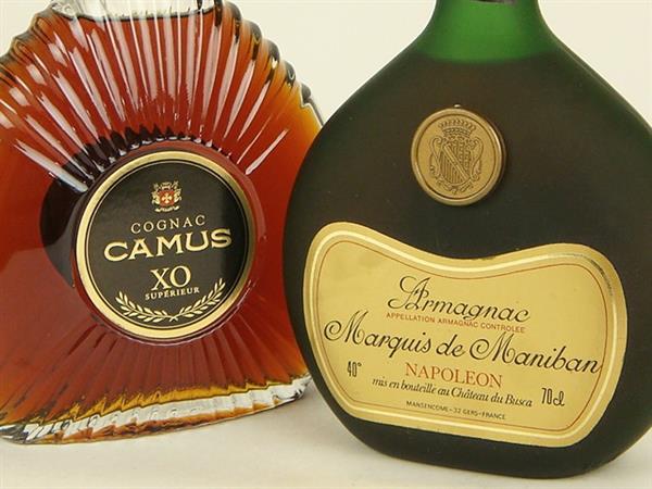 CAMUS XO / ナポレオン エクストラ ブランデー 2本セット 1円～ カミュ XO アルマニャック ナポレオン ブランデー 2本 酒