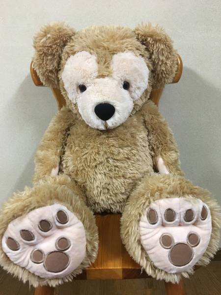 ★TDS　ダッフィー2010　Mサイズ