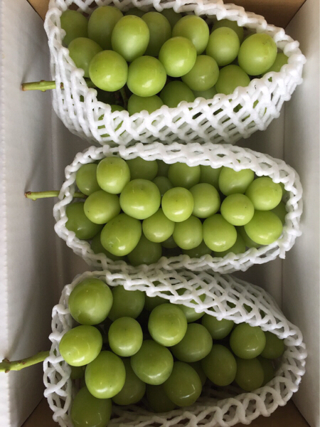 山梨県勝沼産 シャインマスカット 2K 産地直送 NO2