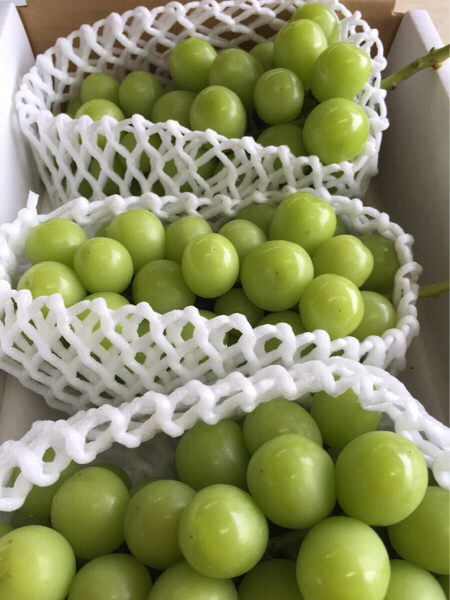 山梨県勝沼産 シャインマスカット 2K 産地直送 NO2