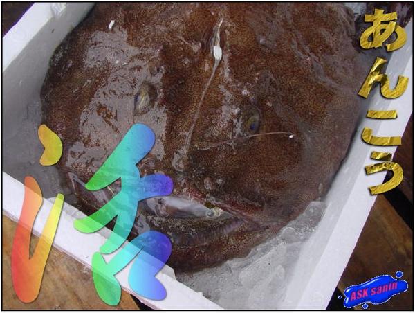 料亭の味をご自宅で「あんこう1尾8.4kg」 『魚王国』山陰境港産