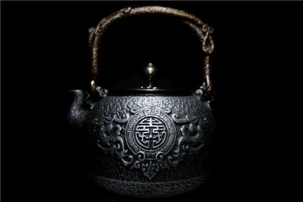 細工鉄製 雙龍紋高彫 唐銅蓋 靈芝銅取手 瑞壽堂造在銘鉄瓶 70841