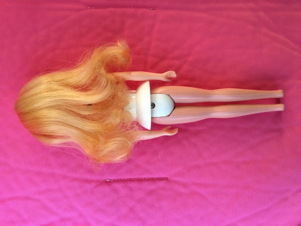 リカちゃん メルニーちゃん_3