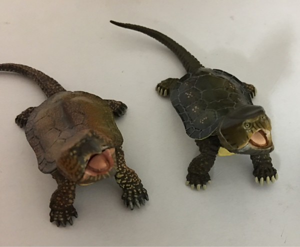 チョコQ 海洋堂 日本の動物11 シークレット オオアタマガメa b