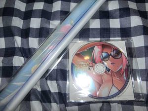 対魔忍 cdのYahoo!オークション(旧ヤフオク!)の相場・価格を見る 