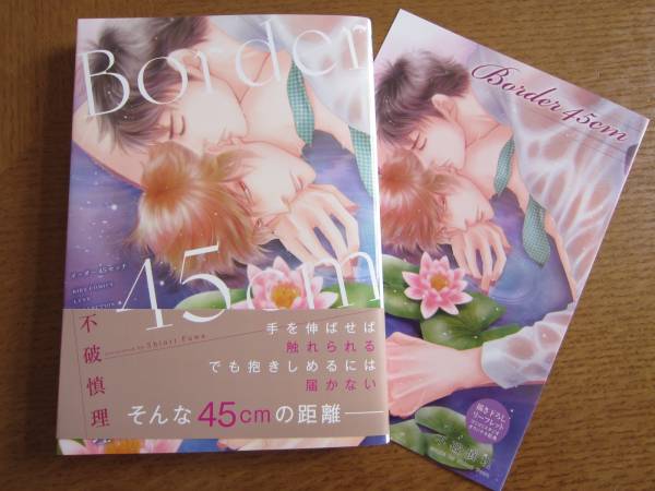 【11月新刊】Border45cm/不破慎理/リーフレット付_1
