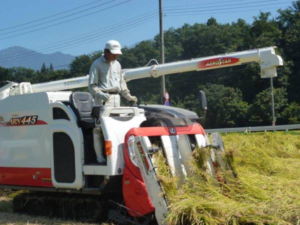 農家直送 H28年 魚沼産コシヒカリ 特別栽培米 玄米30kg 食味特A