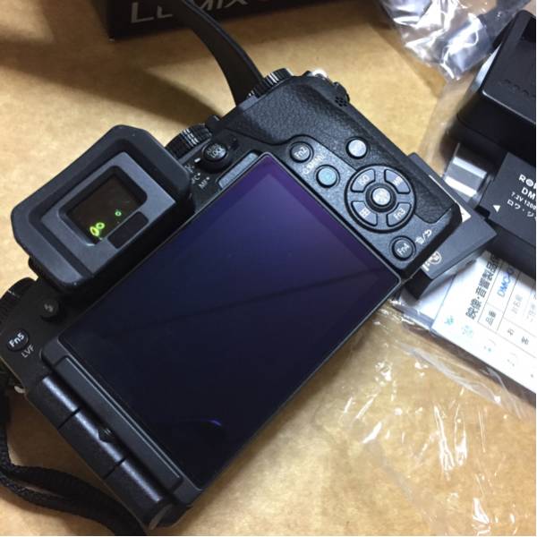 極上 パナソニック LUMIX DMC-G7 ボディのみ おまけ付き 3ヵ月間使用