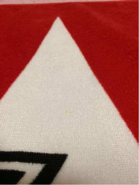 矢沢永吉 SBT E.YAZAWAロゴ_3