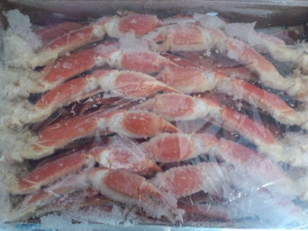 ★売切★★ボイル本ズワイガニ　4L 5ｋｇ