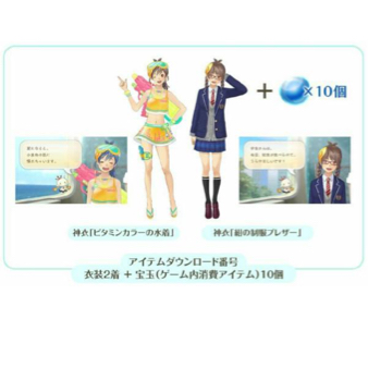 3DS 【Amazon.co.jp & イーカプコン限定】めがみめぐり アペンド・パッケージ　ツクモ(ビタミンカラーの水着) ダンロード