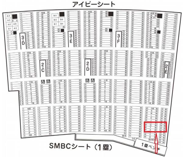 阪神 vs ヤクルト 5月20日(木) 甲子園 アイビーシート チケット3枚