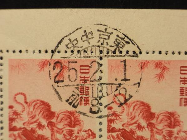 t503705144.1