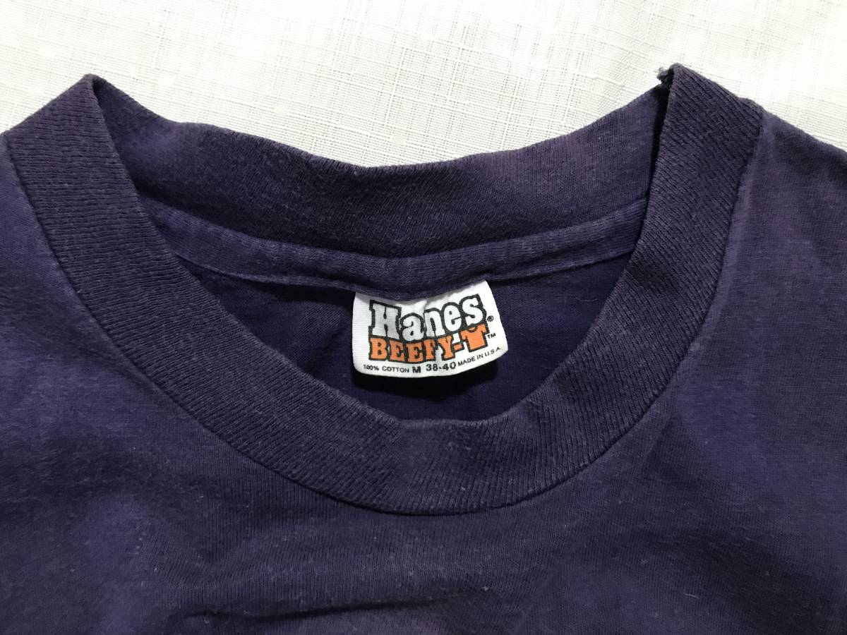 70sビンテージ ヘインズ ナス紺 無地 USA製 Tシャツ コットン100% 雰囲気 レアカラー 激レア 70年代 オリジナル HANES アメリカ製 米国製