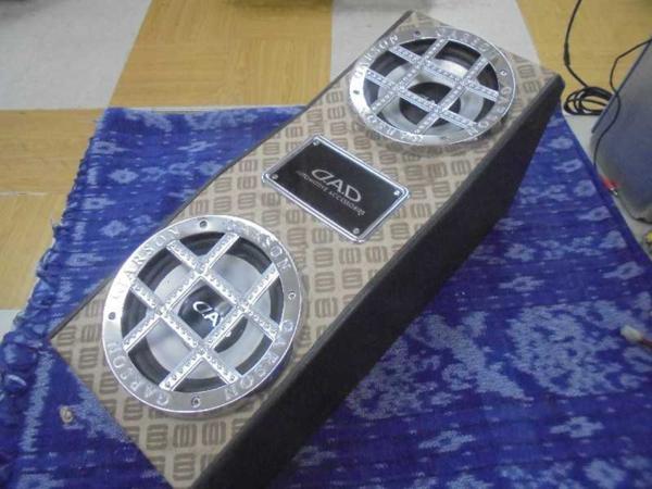 DADラグジュアリーウォークスルーウーファー　アンプ内蔵