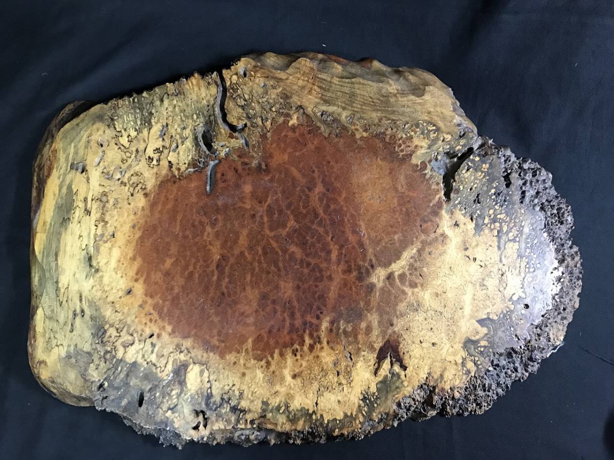 d262723637.2