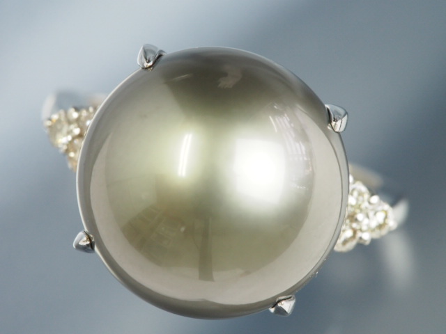 l384725259.1