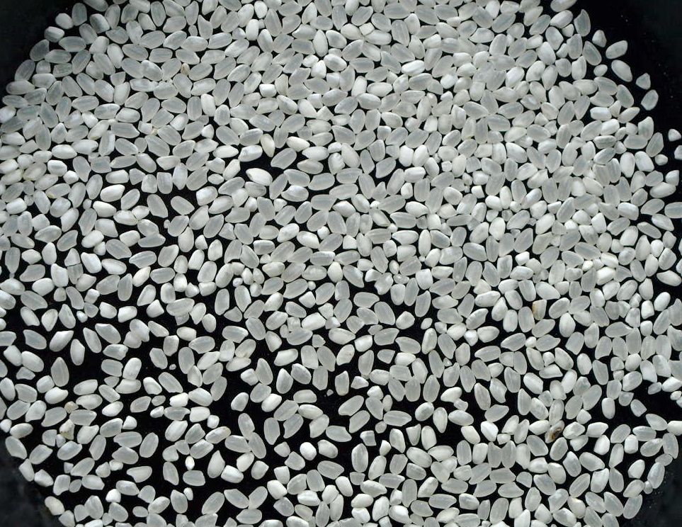 平成29年 福井県産 減農薬ハナエチゼン　華越前 中米白米24kg農家直送