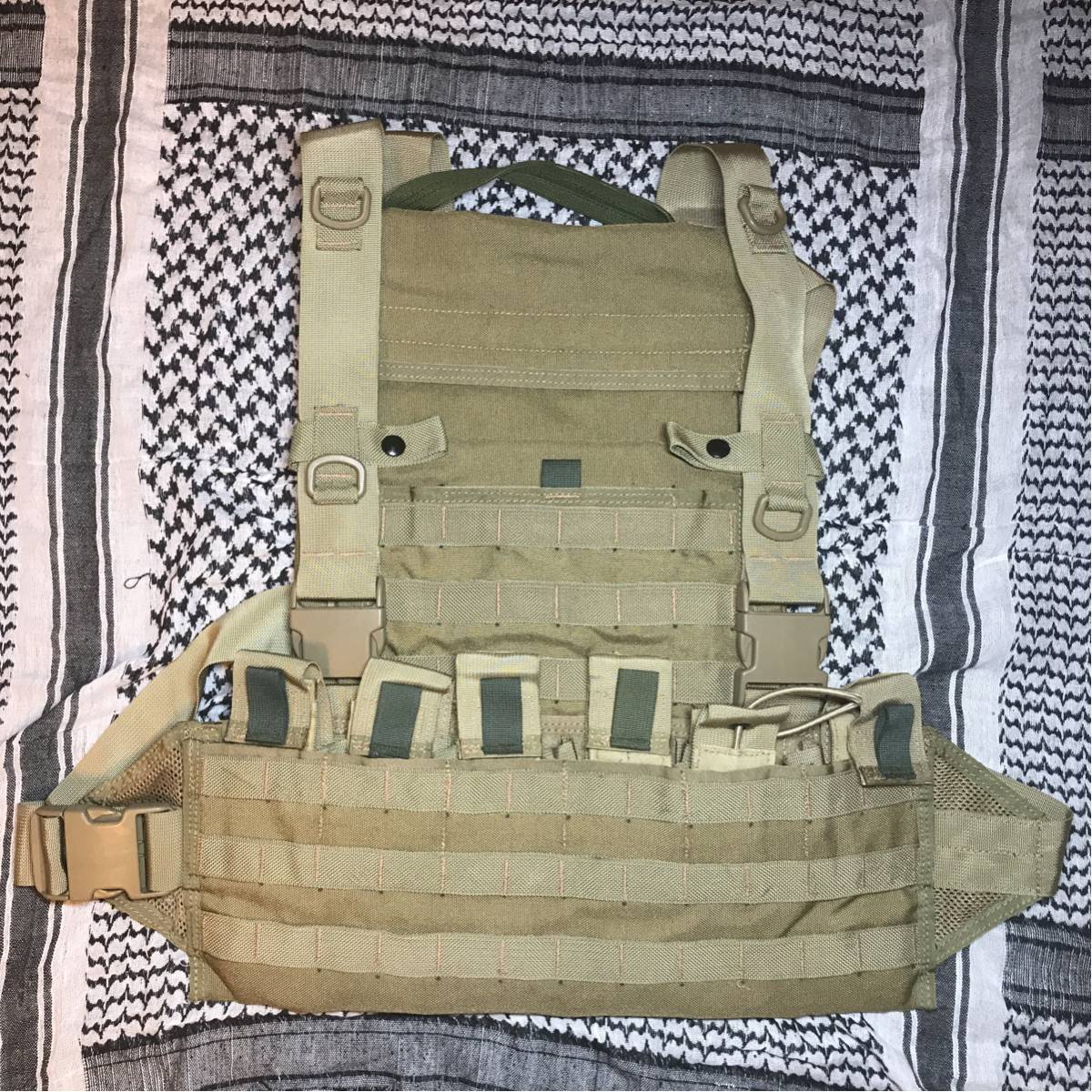 HSGI WASATCH チェストリグ プレートキャリア weesatch oda fapc