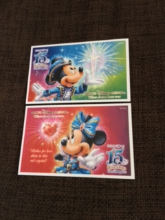 ＴＤＲスポンサーパスポート　ペア　2017年11月30日まで（送料無料）