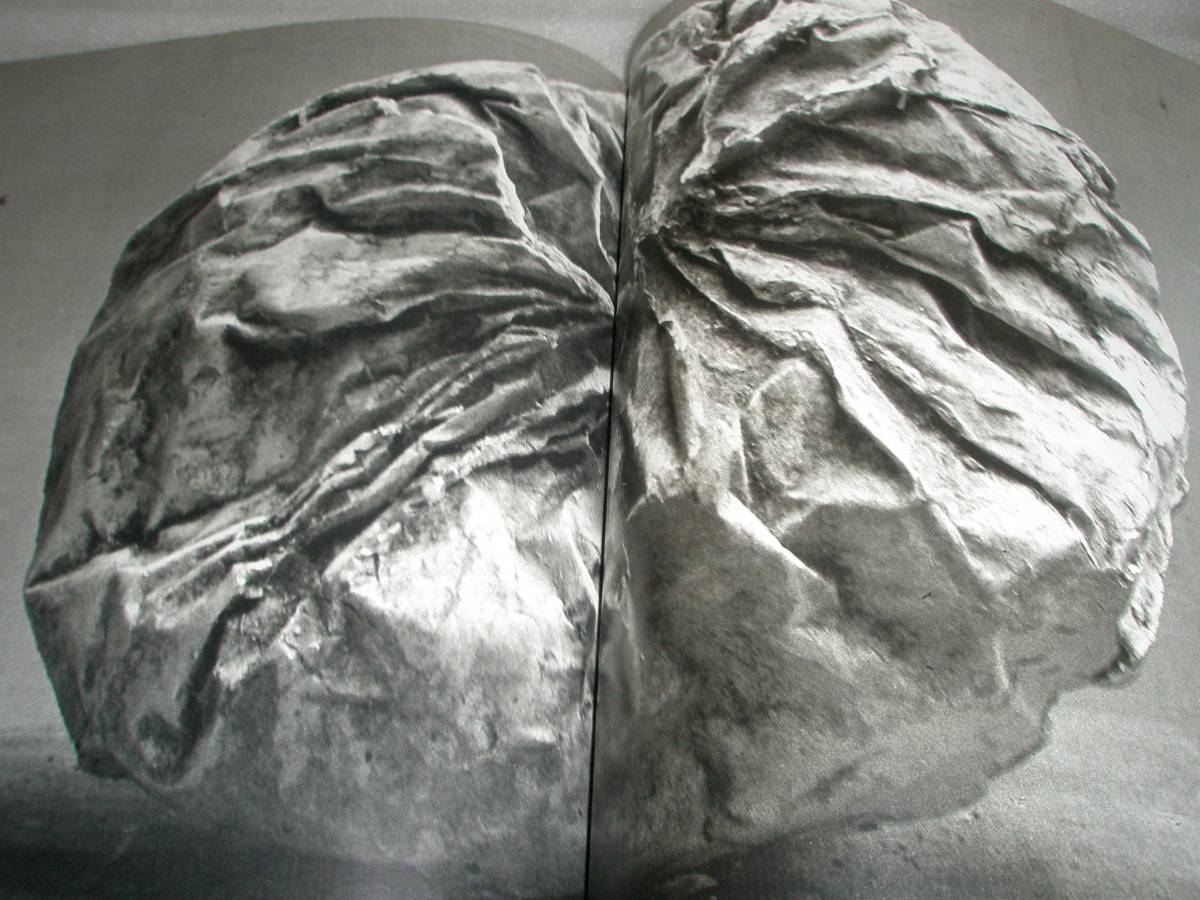 Picasso vu par Brassai　ピカソ　ブラッサイ　ブラッシャイ Picasso Vu Par Brassai 写真集 ブラッシャイ パブロ ピカソ 彫刻作品
