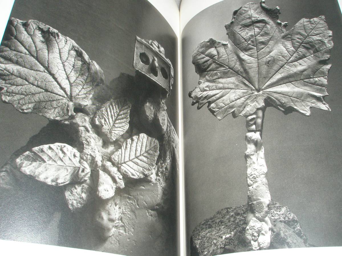 Picasso vu par Brassai　ピカソ　ブラッサイ　ブラッシャイ Picasso Vu Par Brassai 写真集 ブラッシャイ パブロ ピカソ 彫刻作品