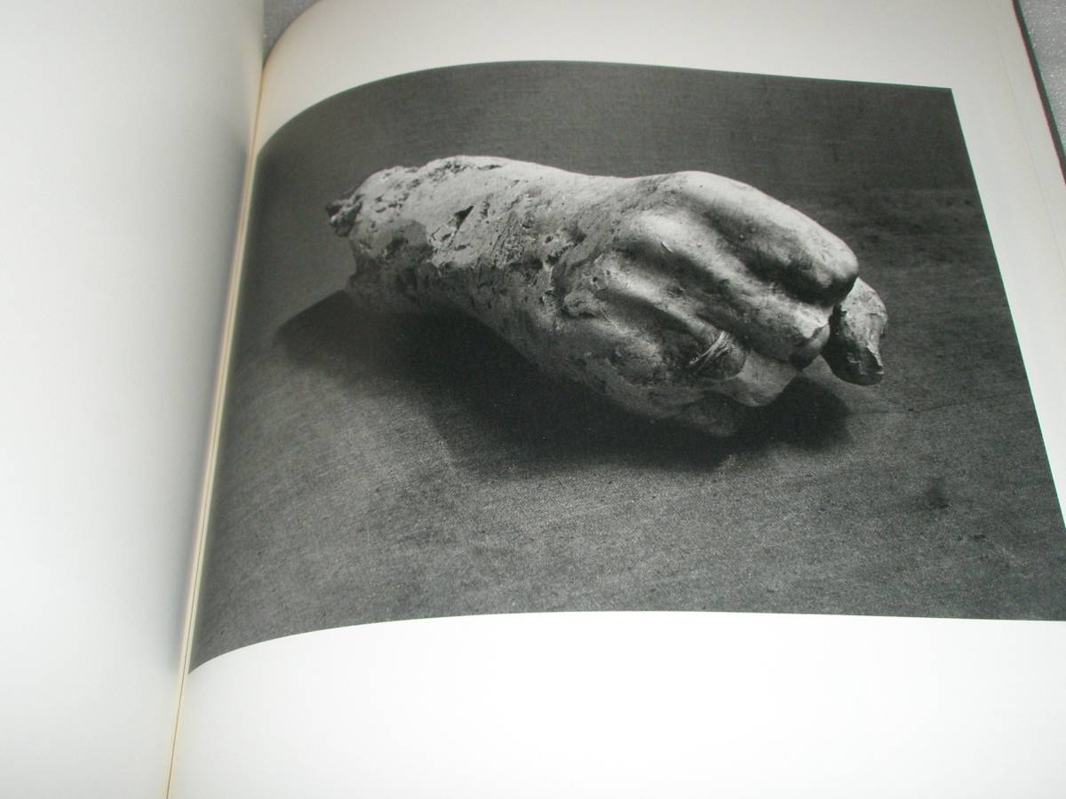 Picasso Vu Par Brassai 写真集 ブラッシャイ パブロ ピカソ 彫刻作品