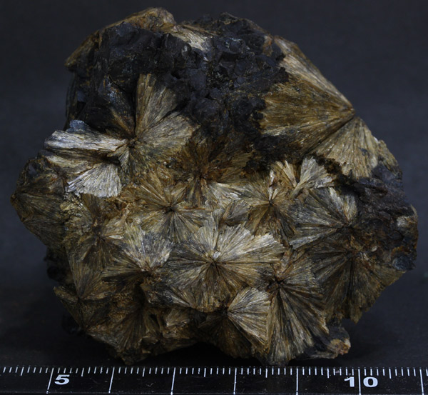 m185295866.2