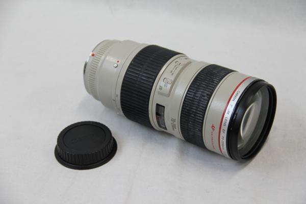 g233636401.1