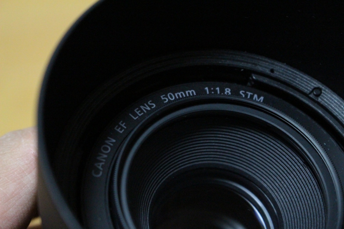 Canon 単焦点レンズ EF50mm F1.8 STMキヤノン レンズフード