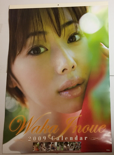 ☆井上和香2009年カレンダー7枚綴