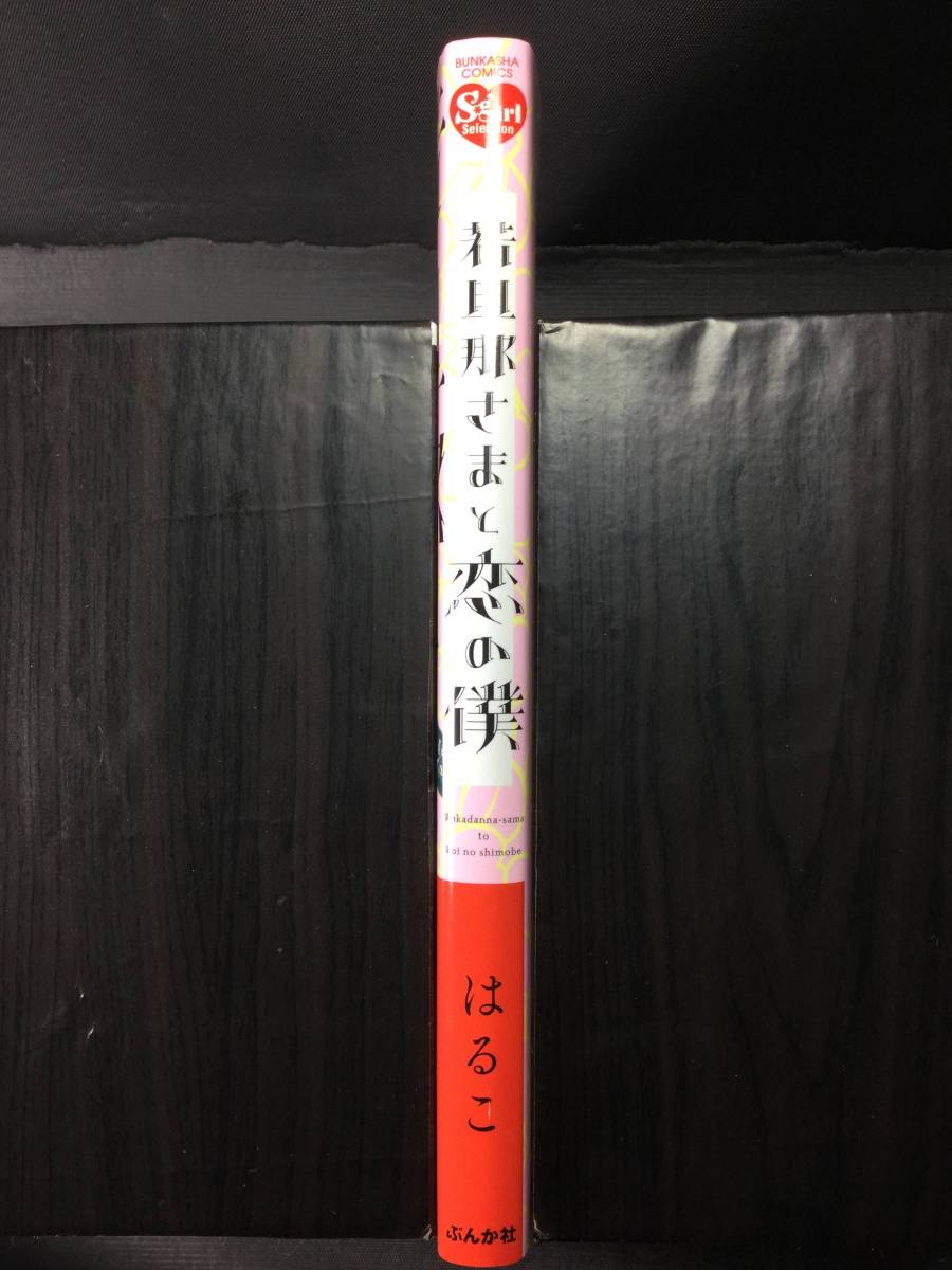 17年10月新刊 若旦那さまと恋の僕 はるこ 美波はるこ エスガールコレクション Tl 女性 売買されたオークション情報 Yahooの商品情報をアーカイブ公開 オークファン Aucfan Com