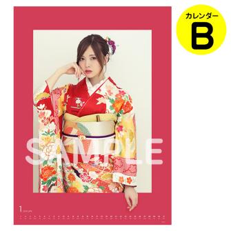 即決 乃木坂46 2018年度 壁掛けカレンダー B 新品未開封 乃木坂46 2026 