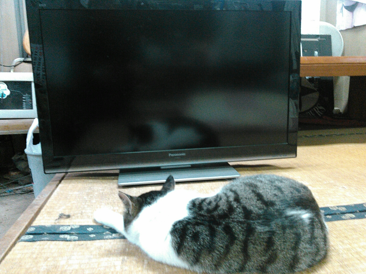 ジャンク】Panasonic液晶テレビ | パナソニック ビエラ 商品一覧 個人