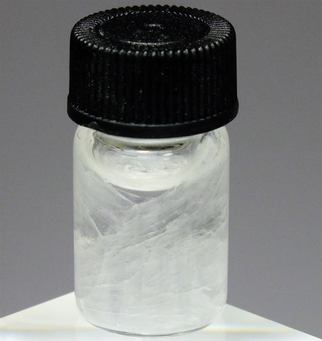 g195205909.1